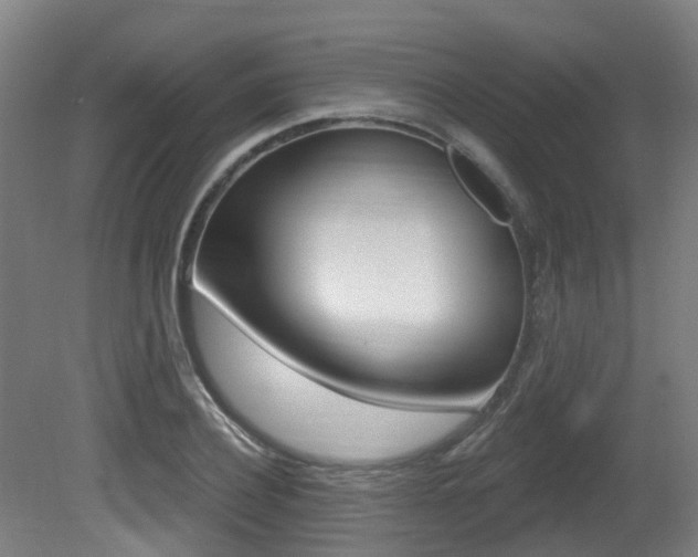 X0000081320932200701111025