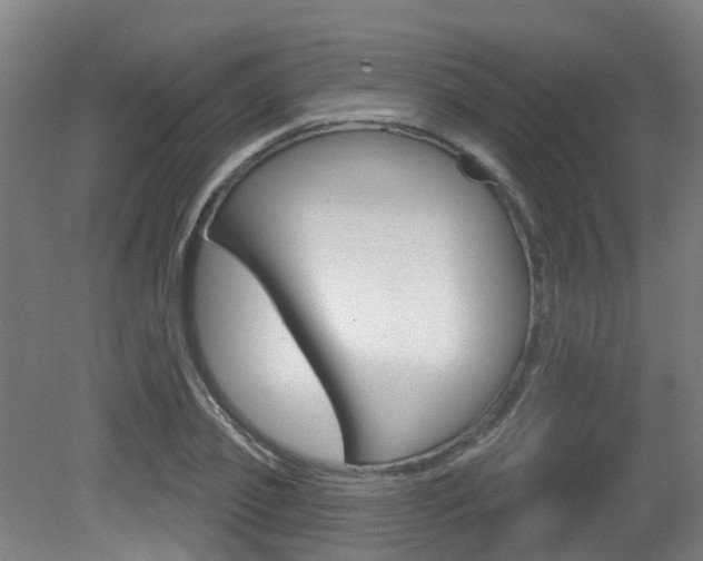 X0000081320933200701111025