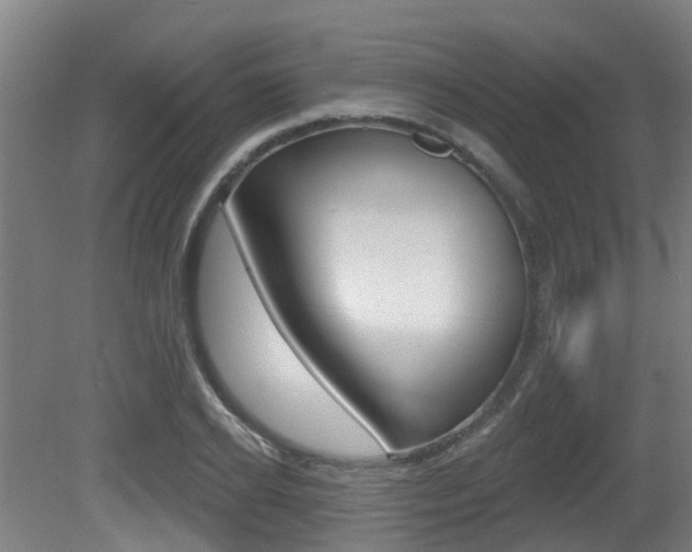 X0000081320934200701111025
