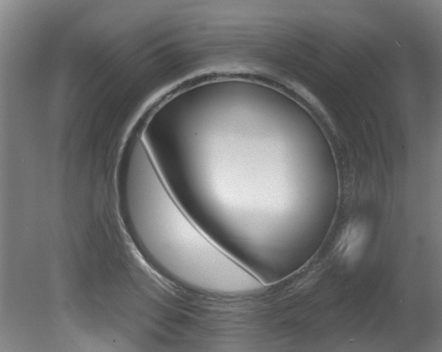 X0000081320935200701111025