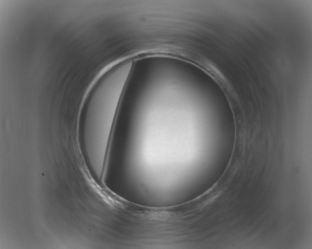 X0000081320940200701111025
