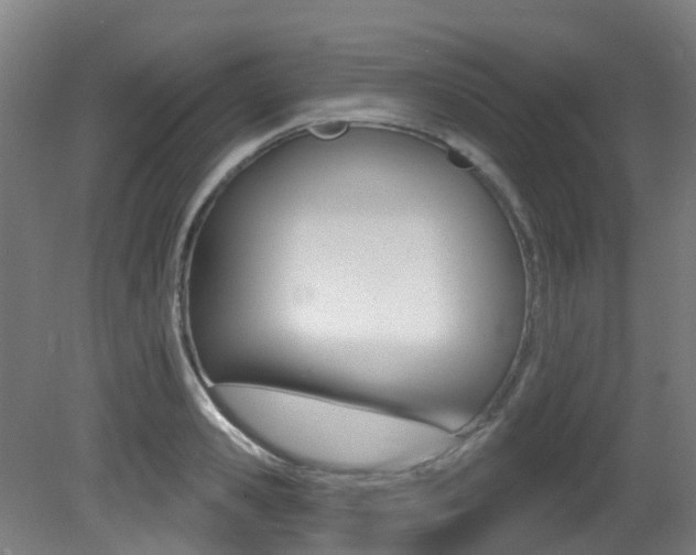 X0000081320941200701111025