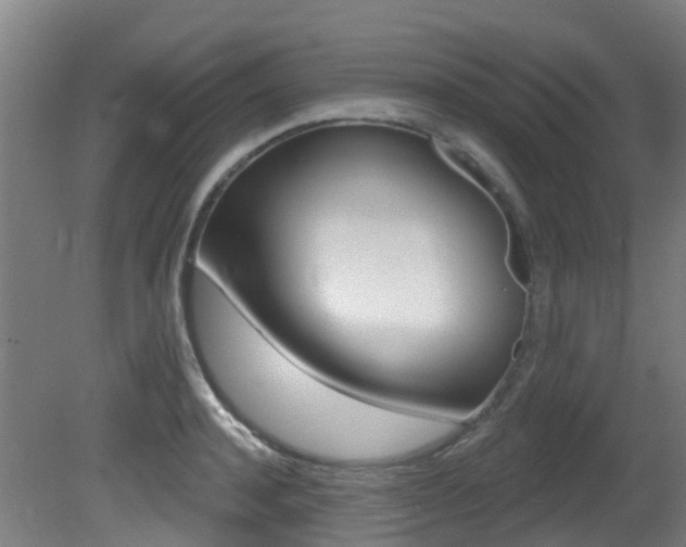 X0000081320944200701111025