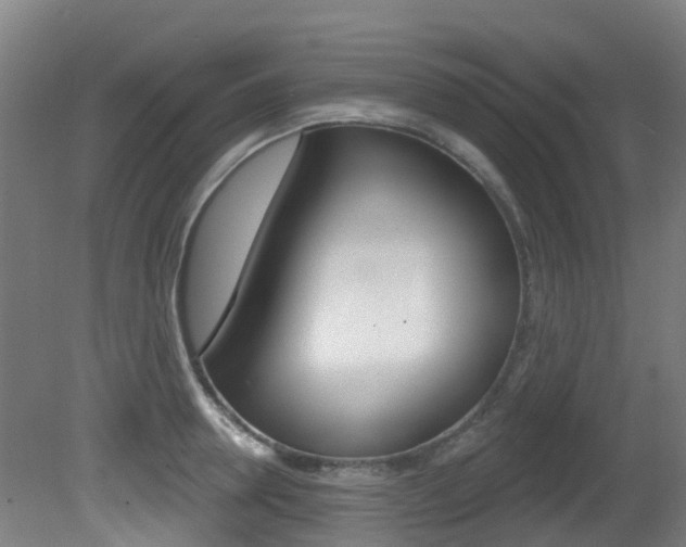 X0000081320946200701111025