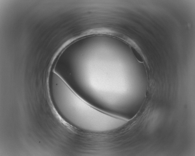 X0000081320947200701111025