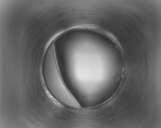 X0000081320952200701111025