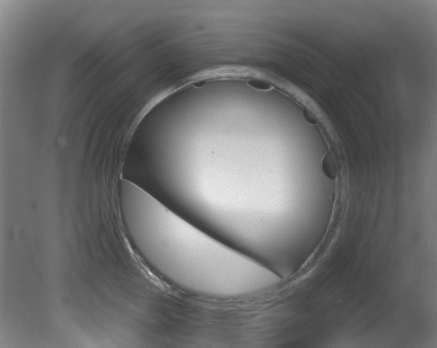 X0000081320953200701111025