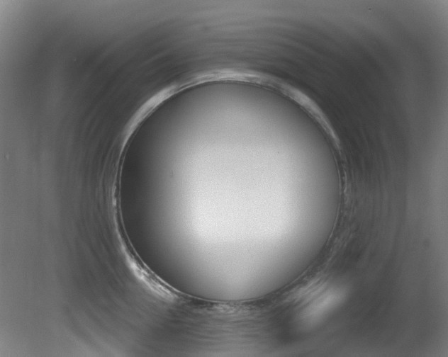 X0000081320954200701111025