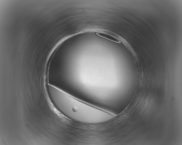 X0000081320955200701111025