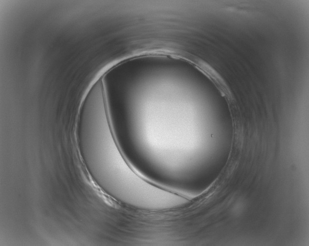 X0000081320956200701111025