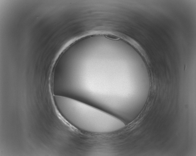 X0000081320958200701111025