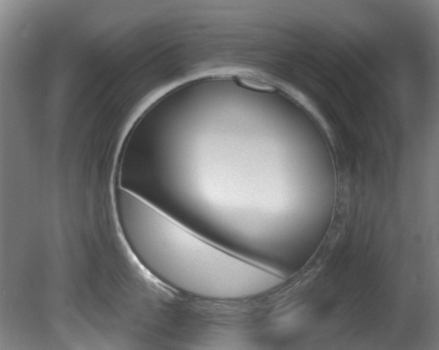 X0000081320959200701111025