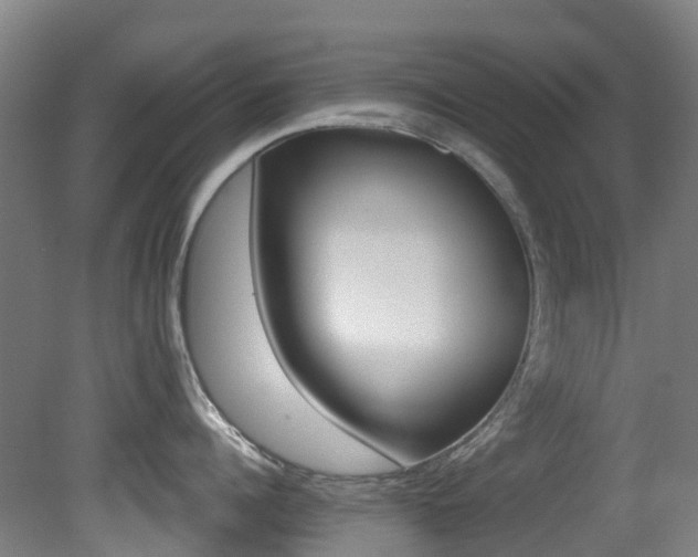 X0000081320960200701111025