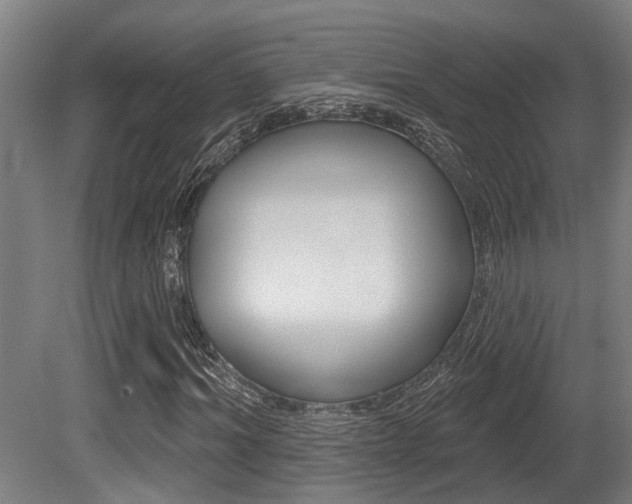 X0000081320964200701111024