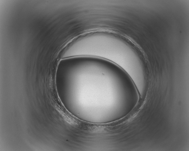 X0000081320969200701111024