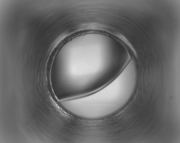 X0000081320972200701111024