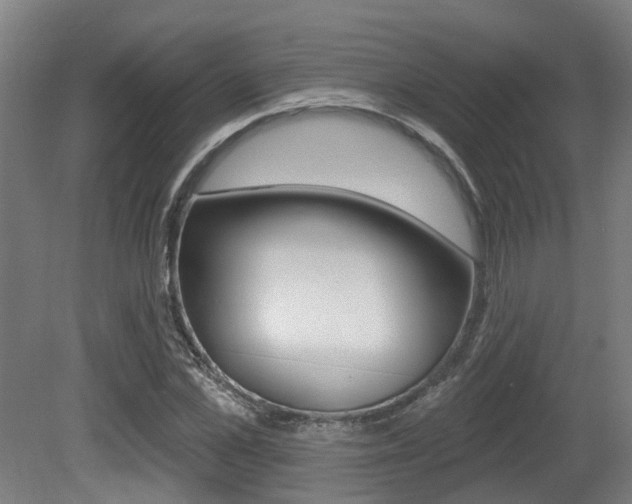 X0000081320973200701111024