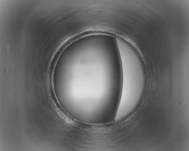 X0000081320976200701111024