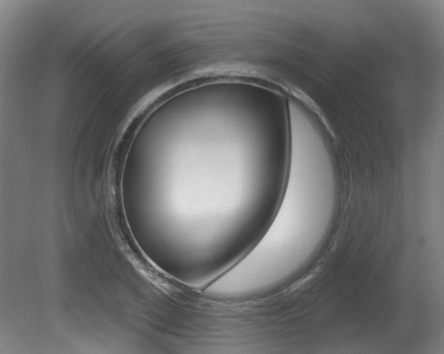 X0000081320981200701111024