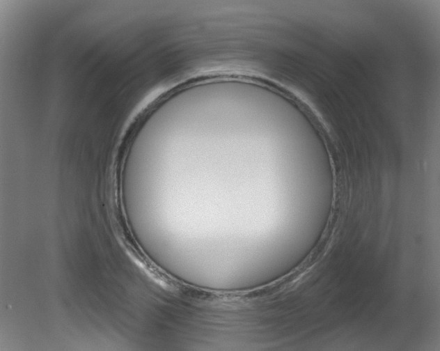 X0000081320982200701111024