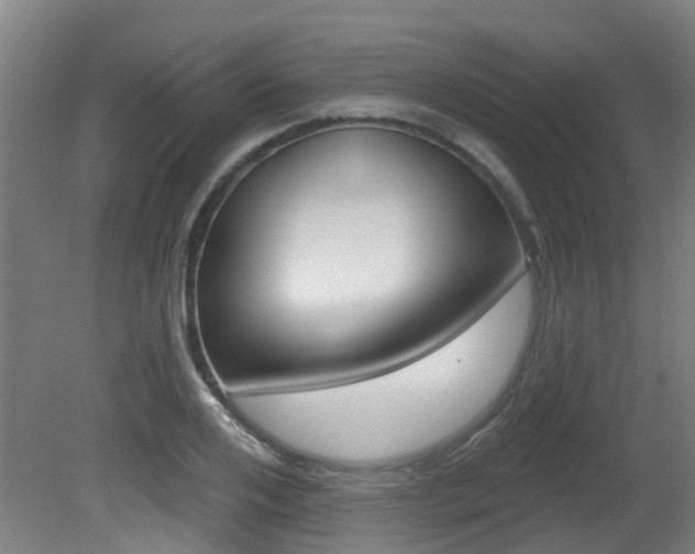 X0000081320984200701111024