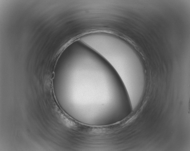 X0000081320985200701111024