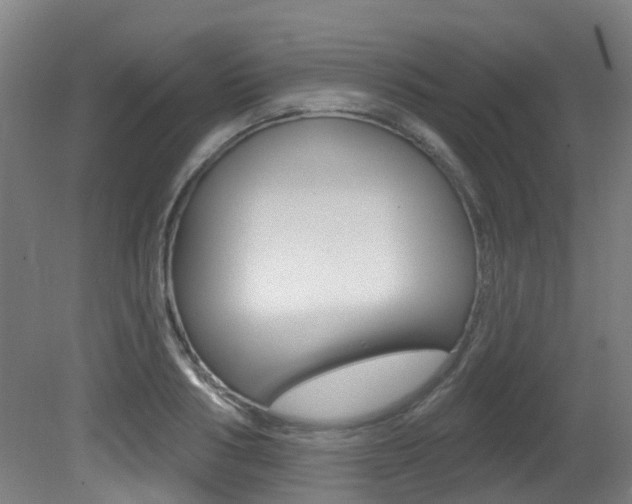 X0000081320986200701111024
