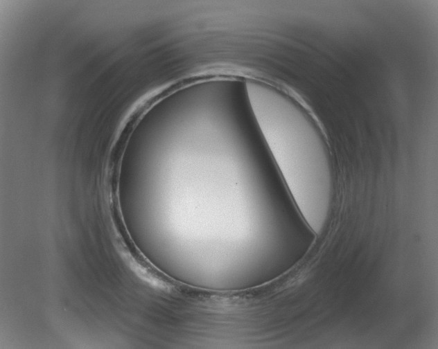 X0000081320987200701111024