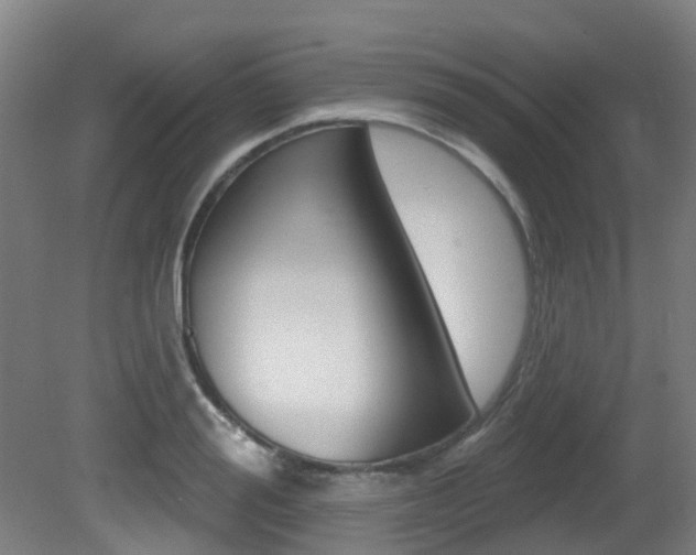 X0000081320988200701111024