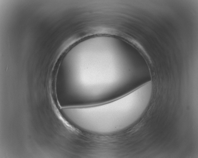 X0000081320991200701111024