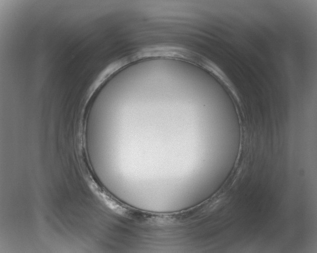 X0000081320994200701111024
