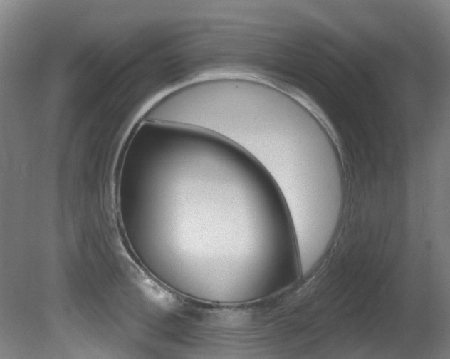 X0000081320996200701111024