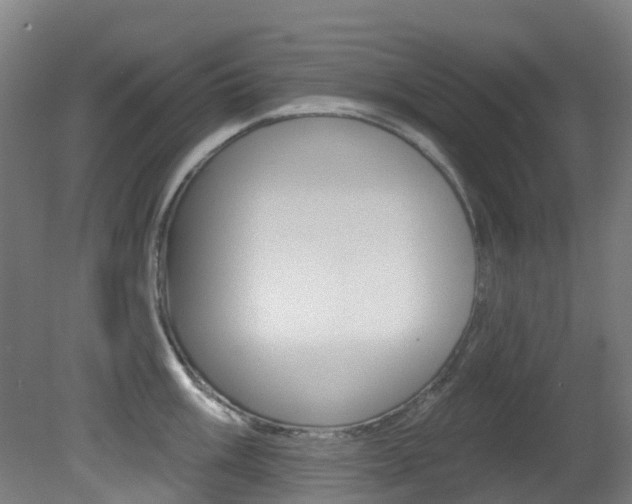 X0000081321003200701111024