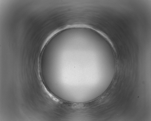 X0000081321006200701111024