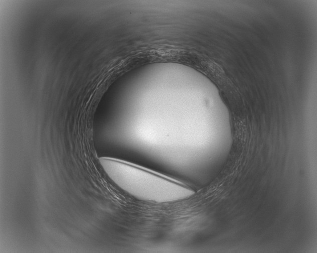 X0000081321009200701111023