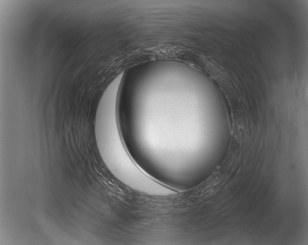 X0000081321010200701111023