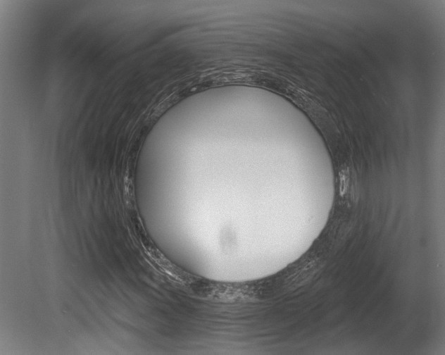 X0000081321011200701111023