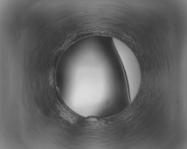 X0000081321012200701111023