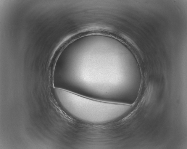 X0000081321021200701111023