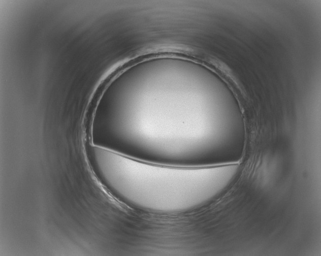 X0000081321024200701111023