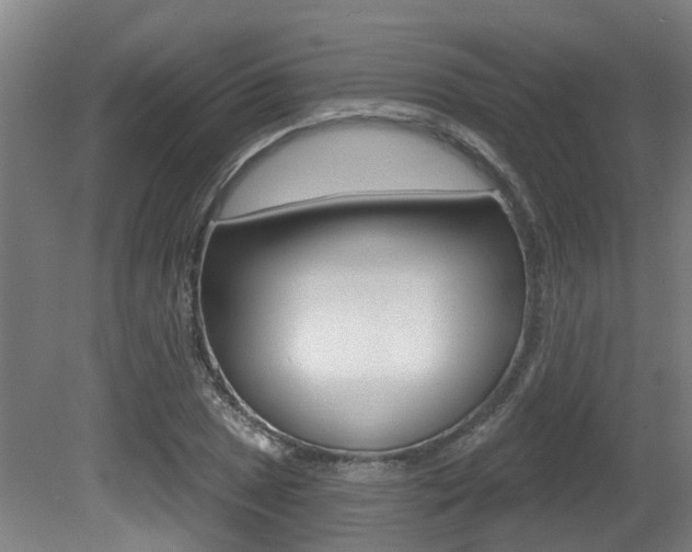 X0000081321025200701111023