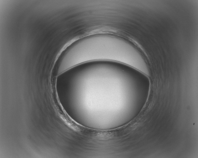 X0000081321026200701111023
