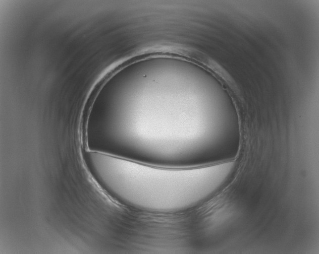 X0000081321028200701111023