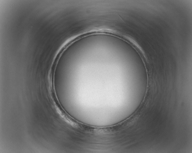 X0000081321032200701111023