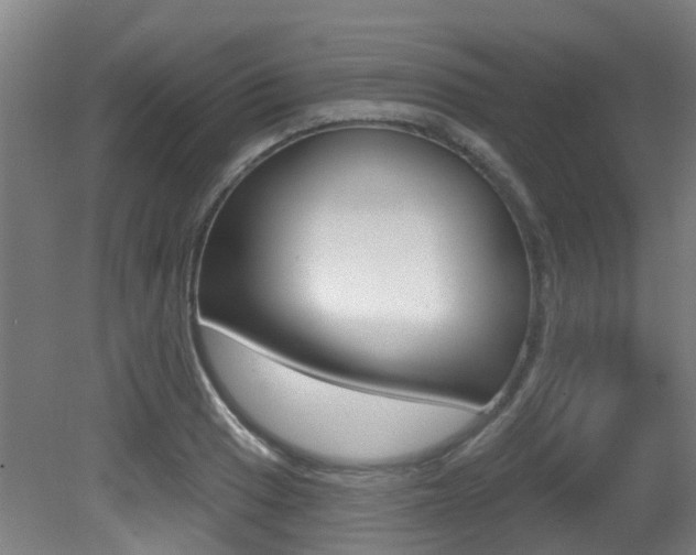 X0000081321033200701111023