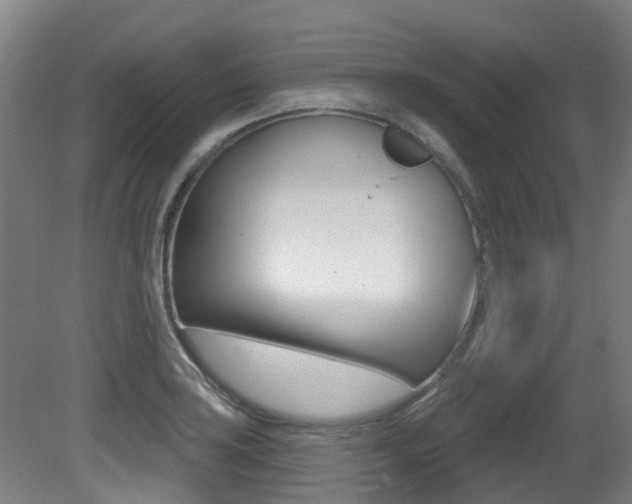 X0000081321035200701111023