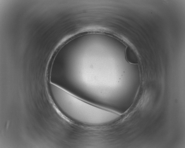X0000081321037200701111023
