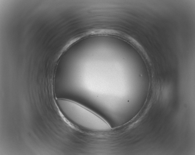 X0000081321041200701111023