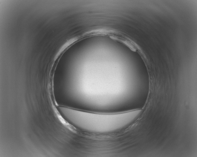 X0000081321042200701111023
