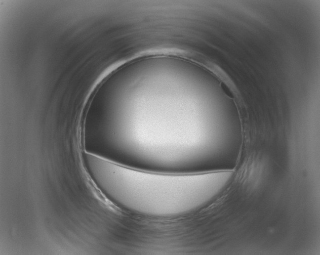 X0000081321044200701111023